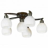 Потолочная люстра Lussole Kstall LSP-0045 фото Потолочная люстра Lussole Kstall LSP-0045