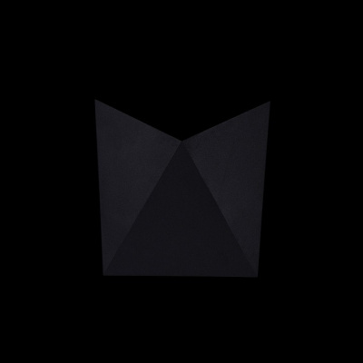 Накладной светильник Maytoni Beekman O802WL-L7B. Фото №2