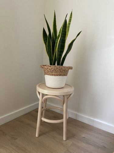 Табурет Венский твердый. Фото №6