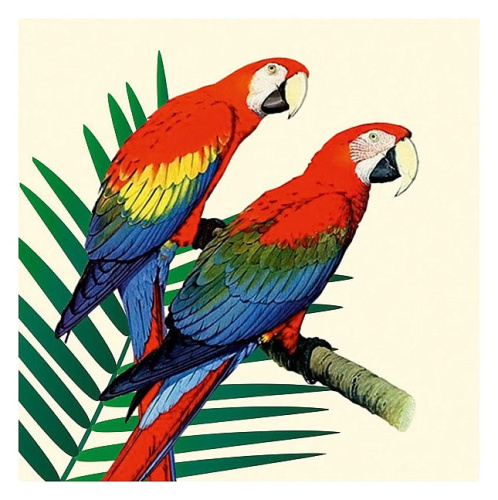 Фасад ЛДСП Галерея Попугай. Фото №1