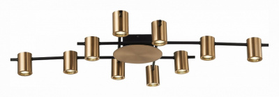 Потолочная люстра ST-Luce Veroli SL1207.402.10. Фото